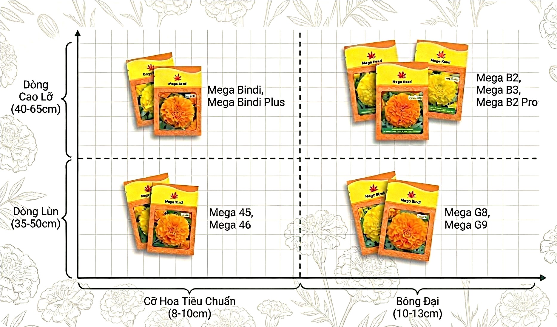 Ma Trận Giải Pháp Mega Seed